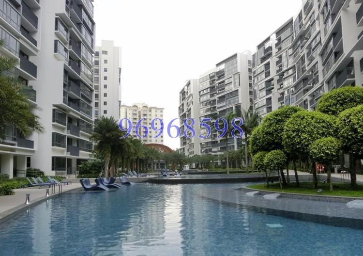 The Palette (D18), Condominium #134145882